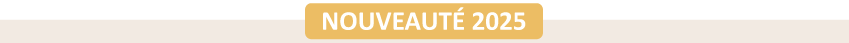 Sécurité routière