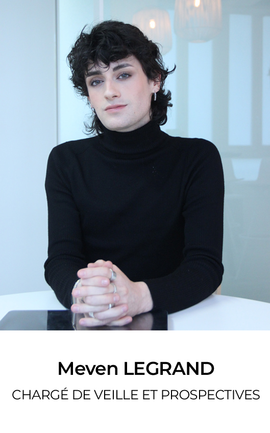 Meven LEGRAND, CHARGÉ DE VEILLE ET PROSPECTIVES
